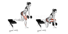 Dumbell Glute Dominant Bulgarian Split Squat