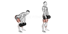 Dumbbell Stiff-Legged Deadlift