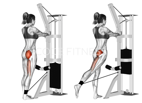 Cable Standing Hip Extension