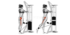 Cable Standing Hip Extension