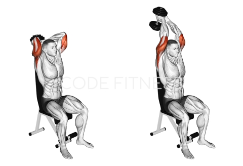 Dumbbell Seated Triceps Press