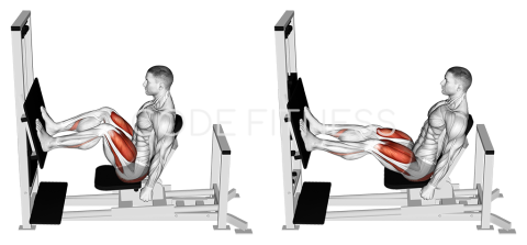 Leg Press