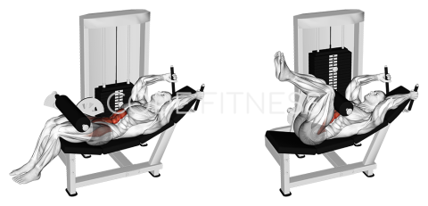 Hip Flexor Machine