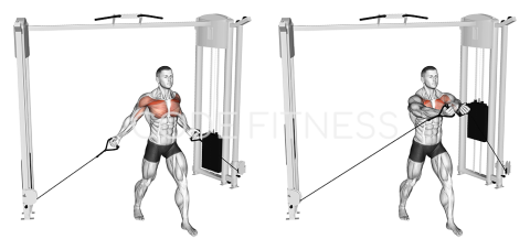 Cable Low-Pulley Fly