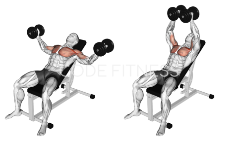 Dumbbell Incline Fly