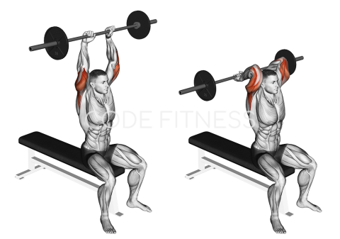 Barbell Seated Triceps Press