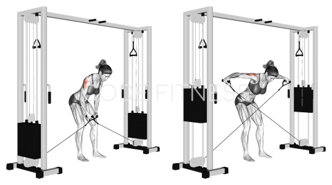 Cable Bent-Over Raise