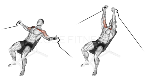 Cable Incline Fly