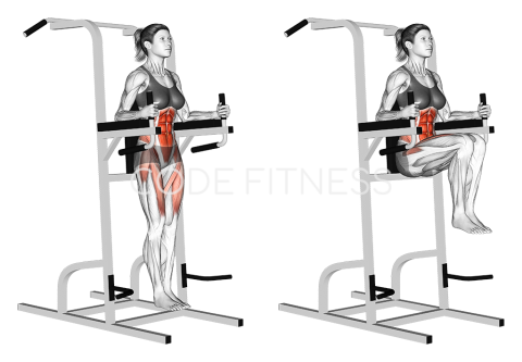 Vertical Leg Raise