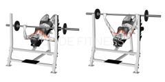 Barbell Decline Press
