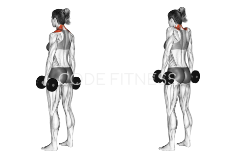 Dumbbell Shrug