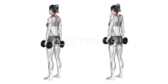 Dumbbell Shrug