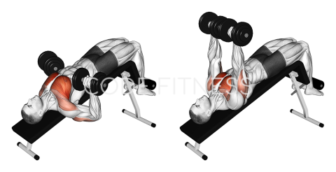 Dumbbell Decline Press
