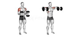 Dumbbell Standing Lateral Raise