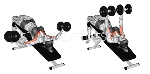 Variable-Grip Decline Dumbbell Fly