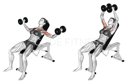 Dumbbell Incline Fly