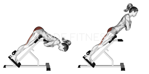 Incline Lumbar Extension