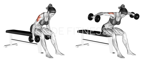 Dumbbell Seated Bent-Over Raise