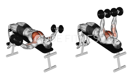 Variable-Grip Dumbbell Decline Press