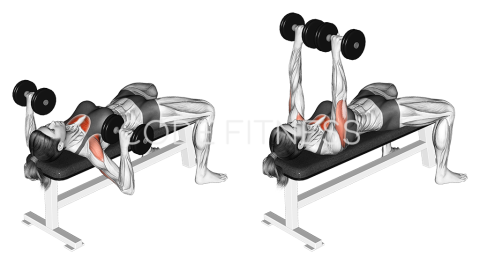 Dumbbell Bench Press