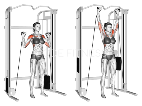 Cable Shoulder Press