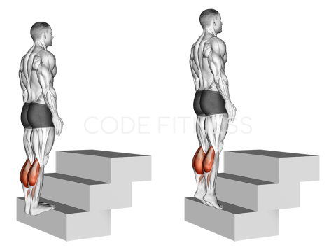 Standing Calf Raise (on a staircase)
