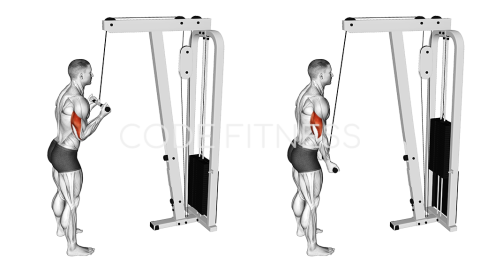 Reverse Grip Push-Down