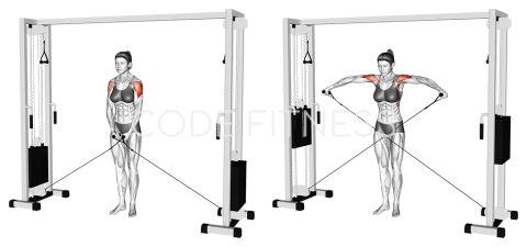 Cable Lateral Raise