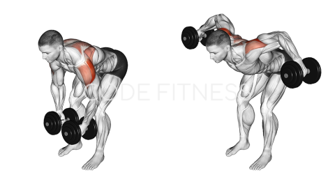 Dumbbell Bent-Over Raise