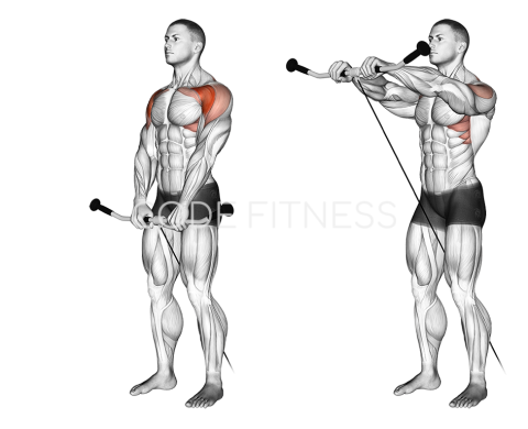 Cable Front Raise - Short-Bar Attachment