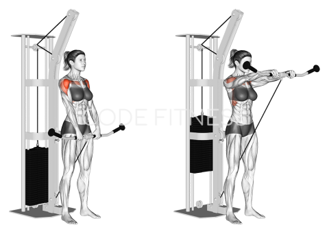 Cable Front Raise - Short-Bar Attachment